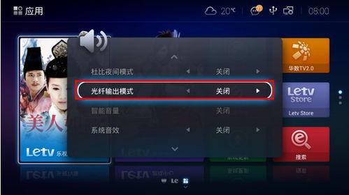 家庭影院安装车牌,车牌式设计，彰显个性与品味